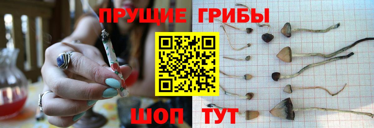 цена   Псилоцибиновые грибы ЛСД  Вход с VPN  Усть-Джегута 